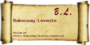 Babocsay Levente névjegykártya